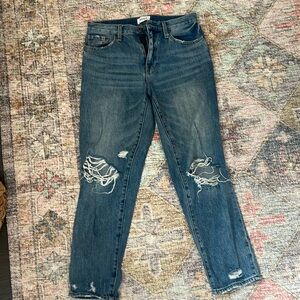 Pistola denim. Size 27. Presley. Fit great!